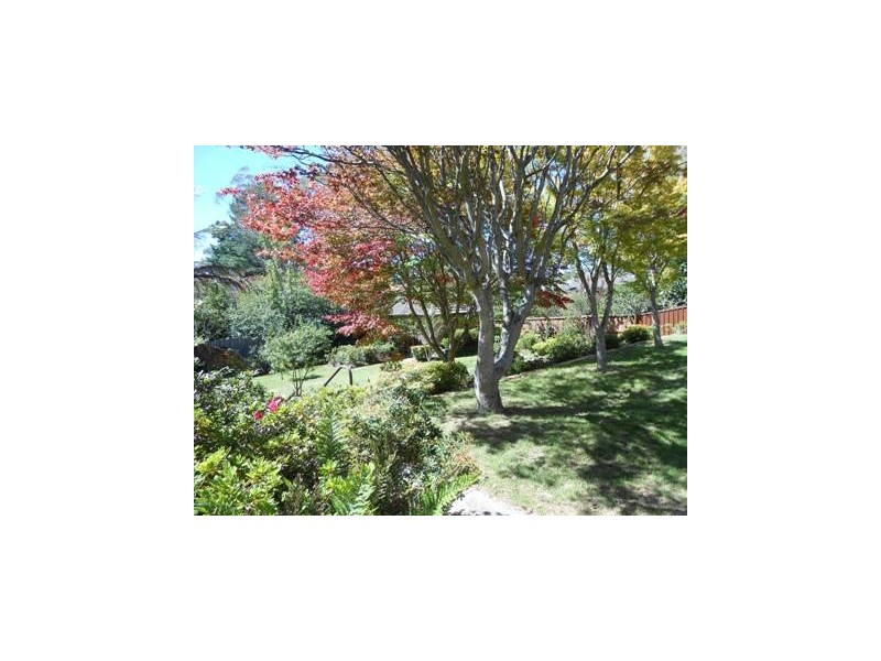 23 Brightlands Avenue, Blackheath NSW 2785