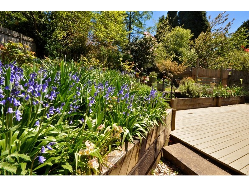 26 Rodriguez, Blackheath NSW 2785