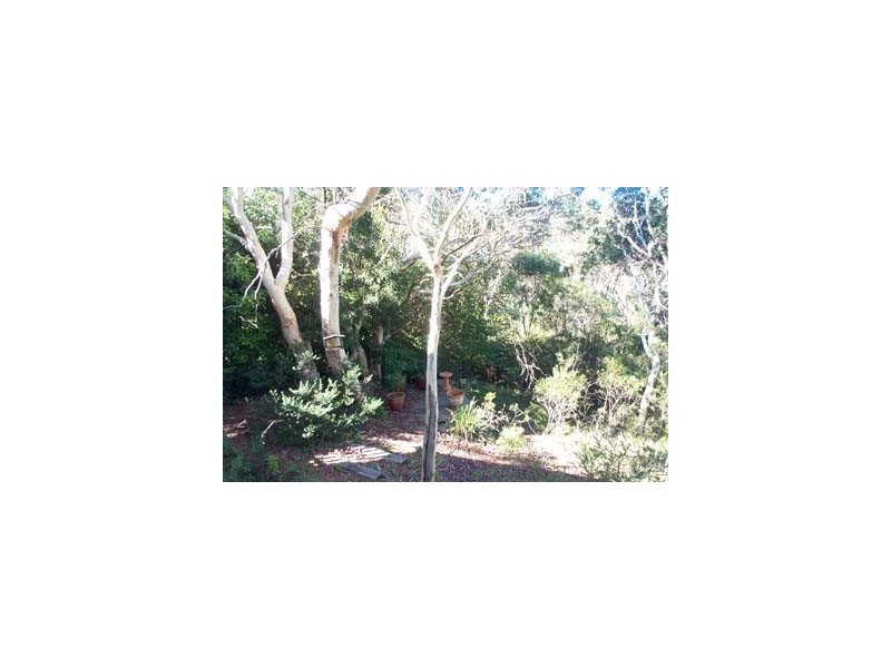 26 Goodare St, Blackheath NSW 2785