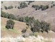 1323 Ganbenang Road, Little Hartley NSW 2790