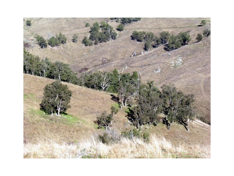 1323 Ganbenang Road, Little Hartley NSW 2790
