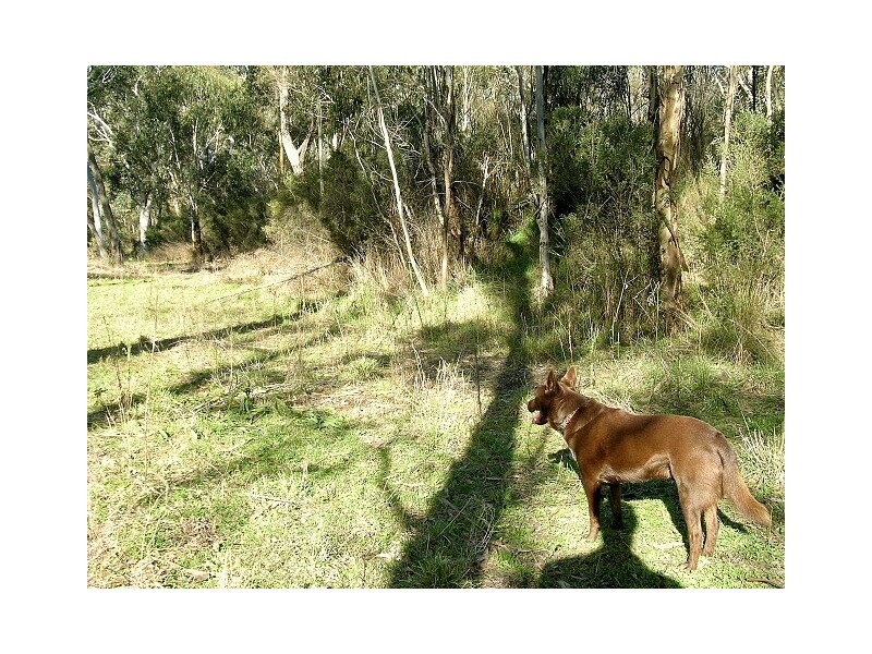 Little Hartley NSW 2790