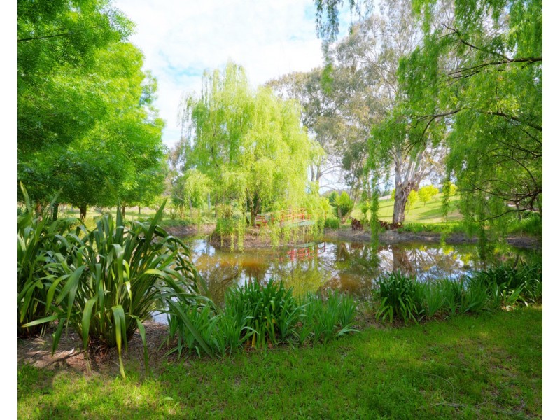 74 Coxs River Road, Little Hartley NSW 2790