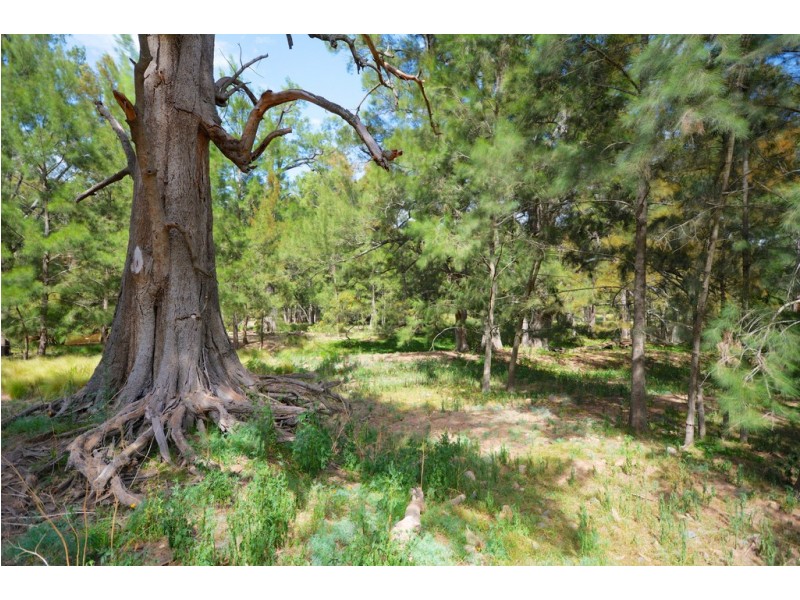 52 (Lot 20) Marsden View Close, Kanimbla NSW 2790
