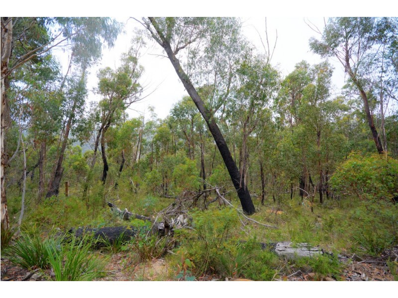 31-33 Salisbury Avenue, Mount Victoria NSW 2786