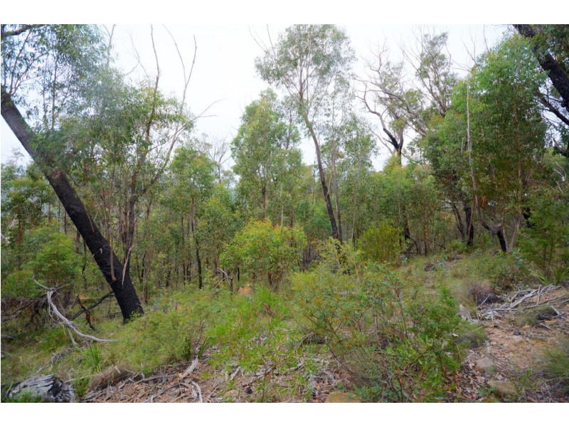 31-33 Salisbury Avenue, Mount Victoria NSW 2786