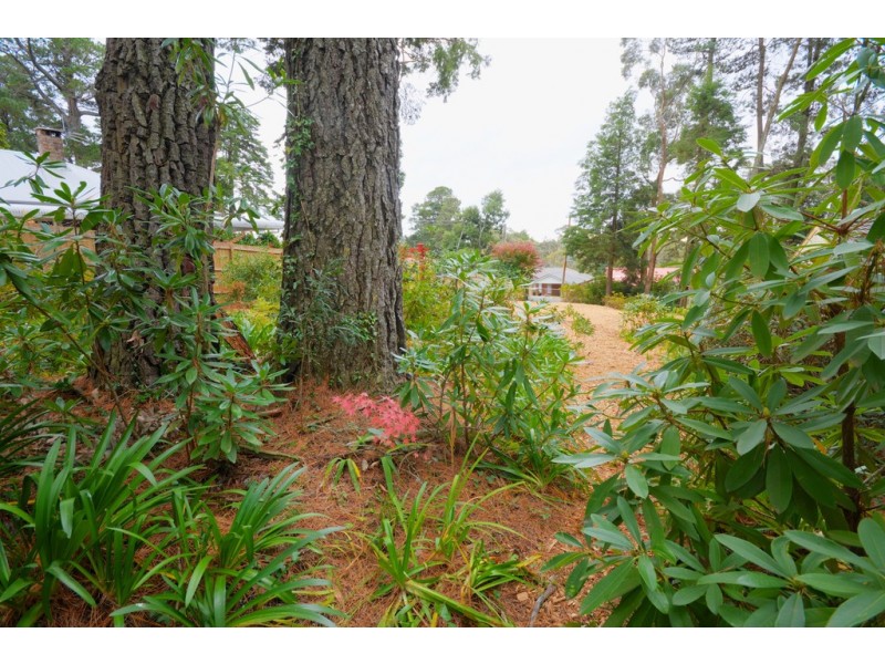 35 Clarence Road, Blackheath NSW 2785