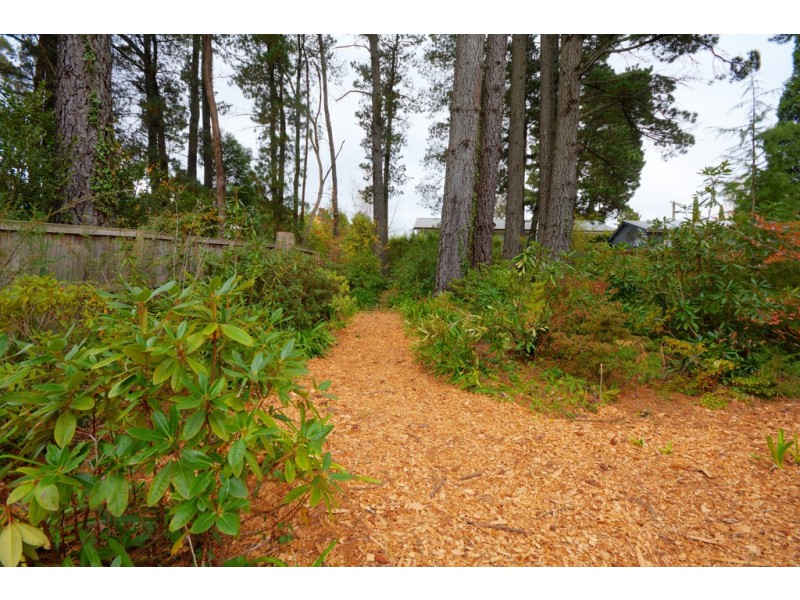 35 Clarence Road, Blackheath NSW 2785