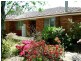 Blackheath NSW 2785