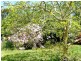 Blackheath NSW 2785