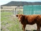 Little Hartley NSW 2790