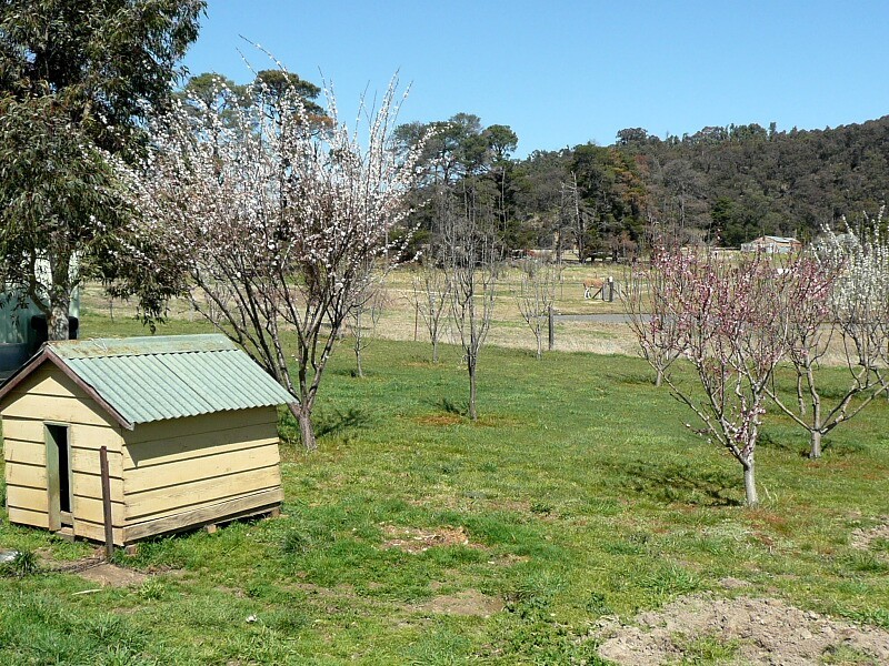 Little Hartley NSW 2790