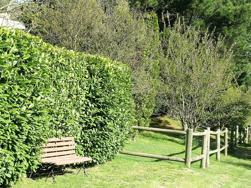 South Bowenfels NSW 2790