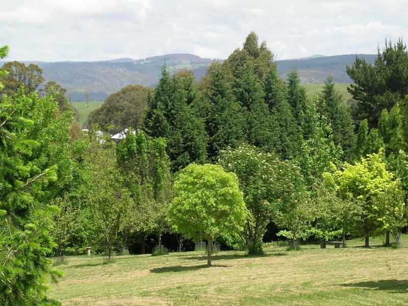 South Bowenfels NSW 2790