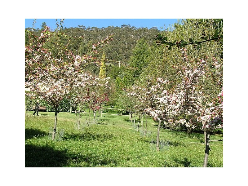 South Bowenfels NSW 2790