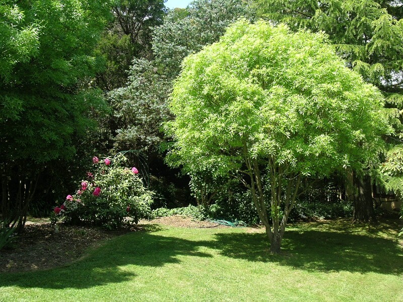 South Bowenfels NSW 2790