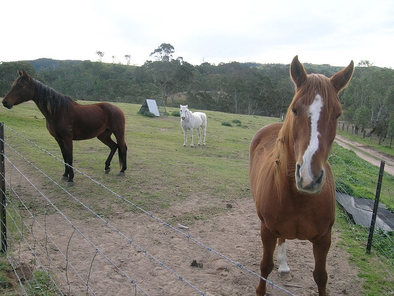 1323A Ganbenang Road, Little Hartley NSW 2790