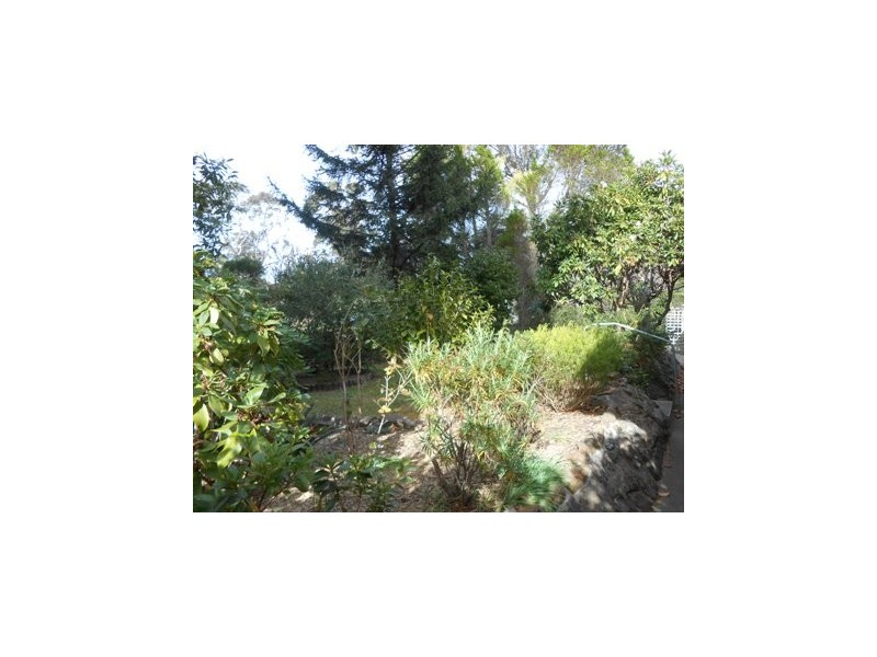 46 HILLIER AVE, Blackheath NSW 2785