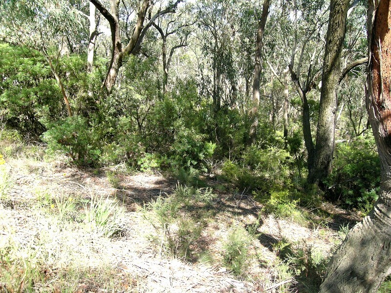 176 Victoria St, Mount Victoria NSW 2786