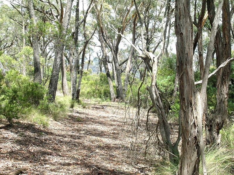 176 Victoria St, Mount Victoria NSW 2786