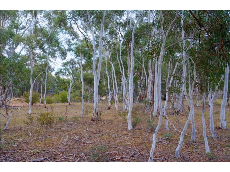 1139 Browns Gap Road, Little Hartley NSW 2790