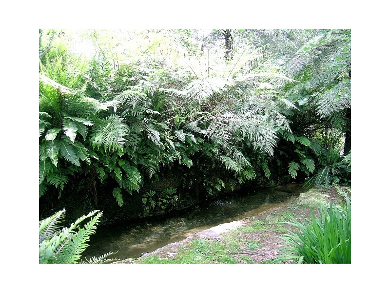 152 Clarence Road, Blackheath NSW 2785