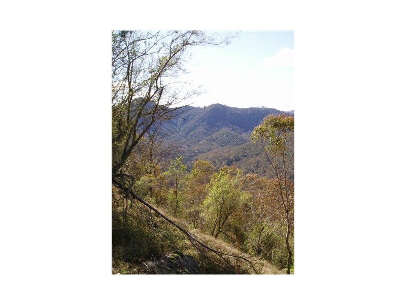 536 Black Jerry Ridge Rd, Megalong NSW 2785