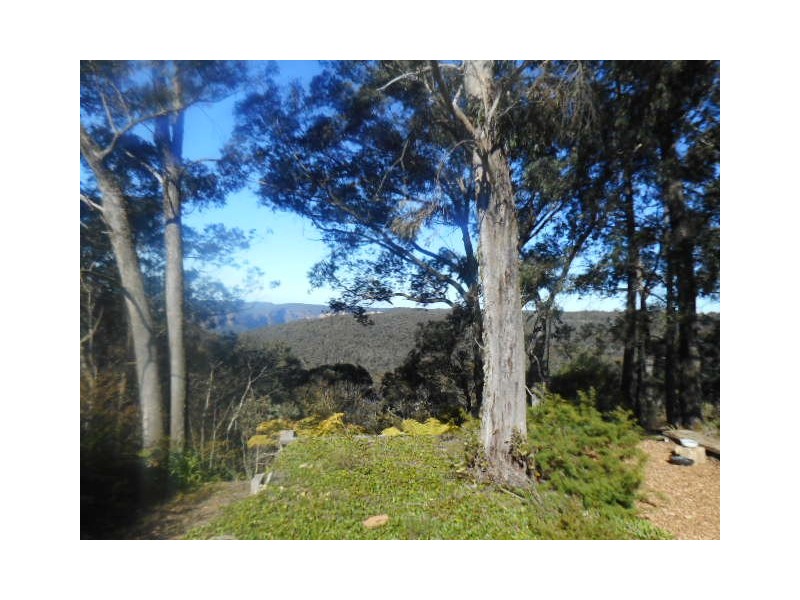 237 HAT HILL ROAD, Blackheath NSW 2785