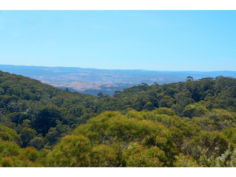 16 Lookout Street, Blackheath NSW 2785