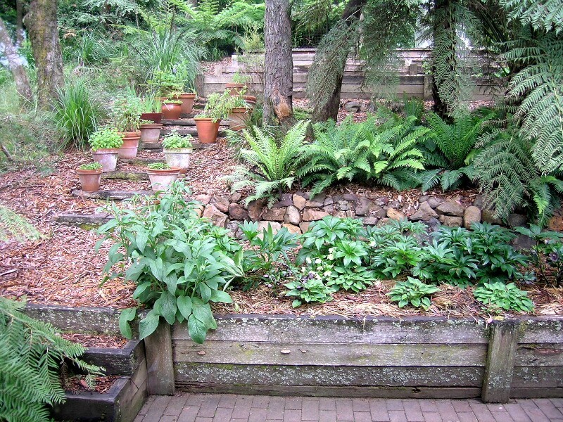 Blackheath NSW 2785
