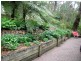Blackheath NSW 2785