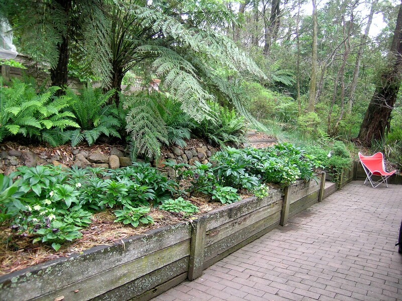 Blackheath NSW 2785
