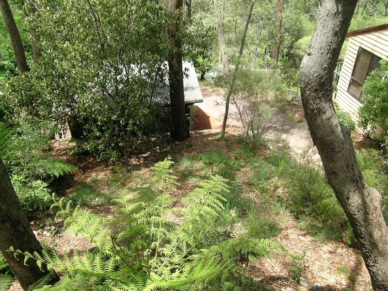 Blackheath NSW 2785