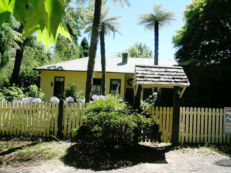 Mount Wilson NSW 2786