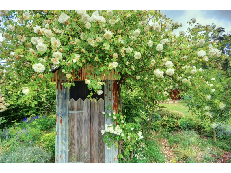 24-32 Danes Way, Mount Irvine NSW 2786