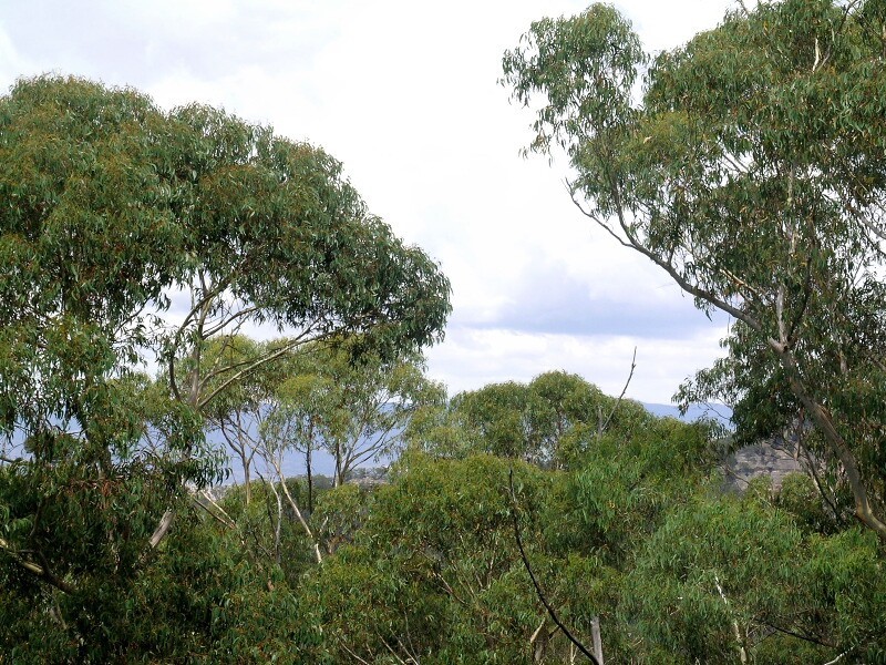 154 Victoria Street, Mount Victoria NSW 2786