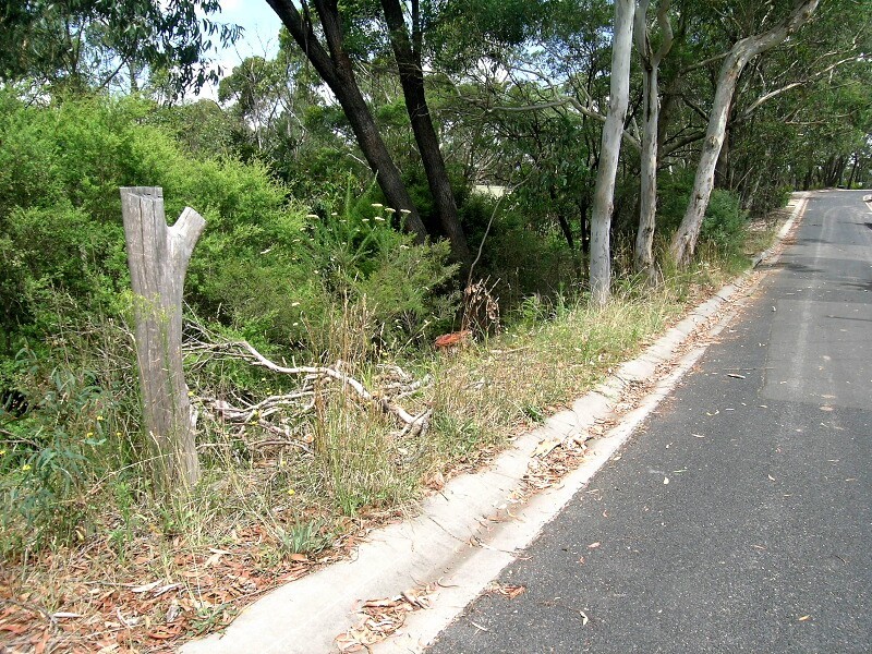 154 Victoria Street, Mount Victoria NSW 2786