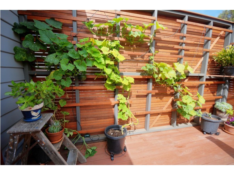 95 Victoria Street, Mount Victoria NSW 2786