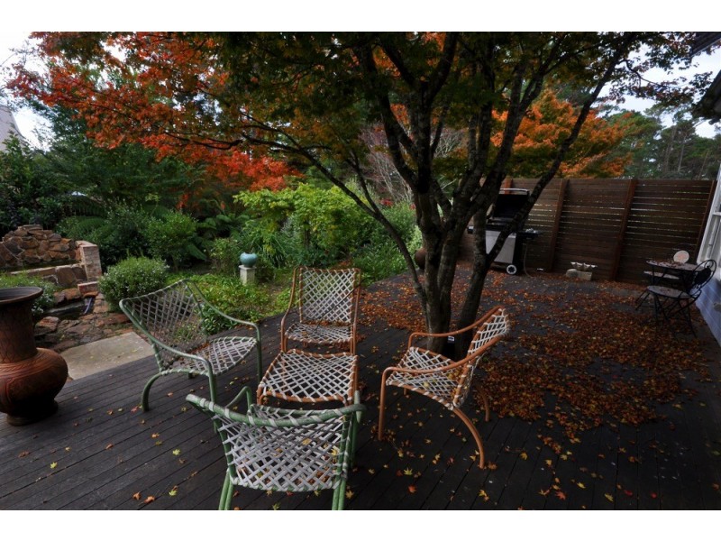 16 Belvidere Avenue, Blackheath NSW 2785