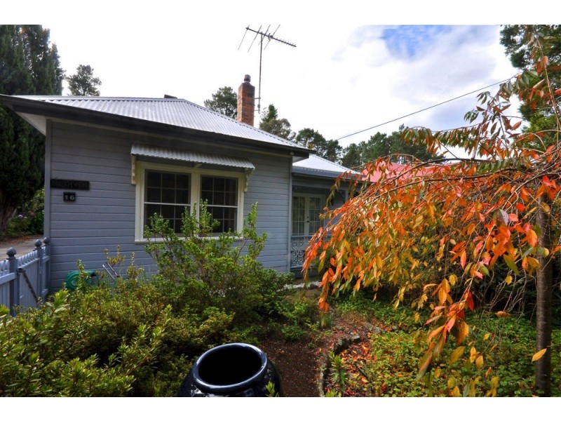 16 Belvidere Avenue, Blackheath NSW 2785