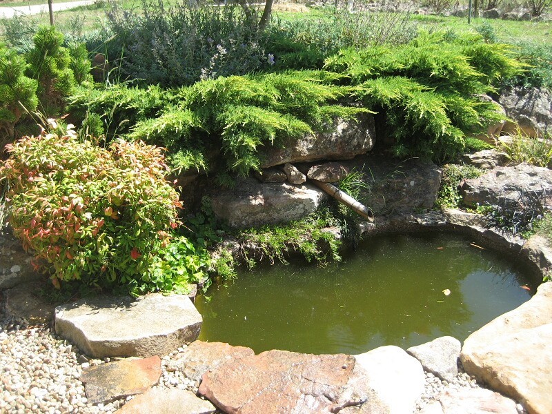 Little Hartley NSW 2790