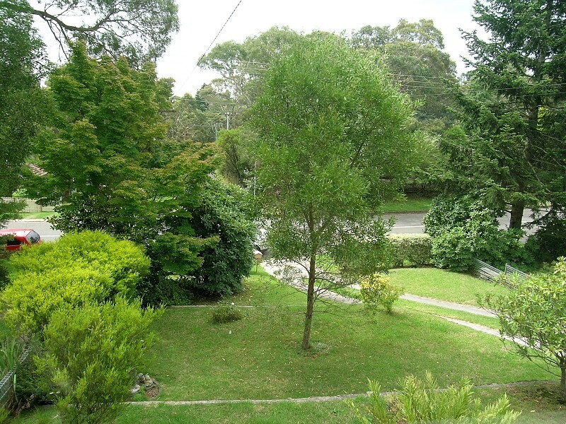 Blackheath NSW 2785