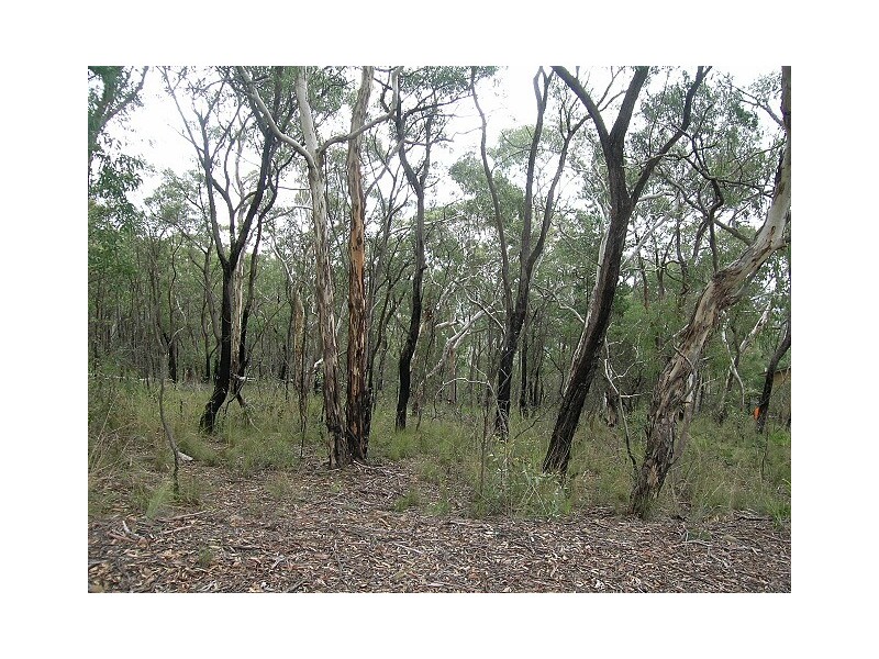 44-46 St Georges Parade, Mount Victoria NSW 2786