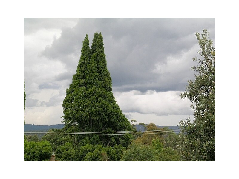 7 Sylvania Street, Mount Victoria NSW 2786