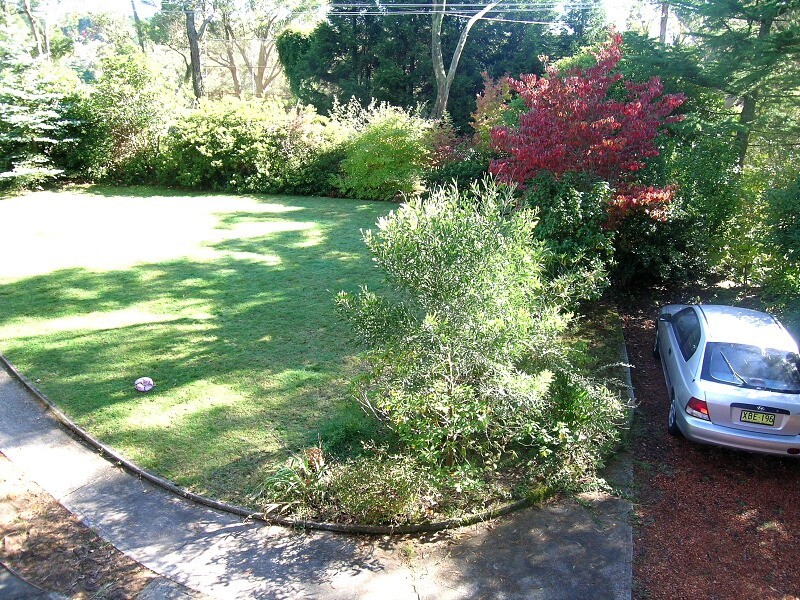 89 Brightlands Avenue, Blackheath NSW 2785