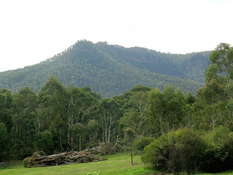 Lot 11 Megalong Road, Megalong NSW 2785