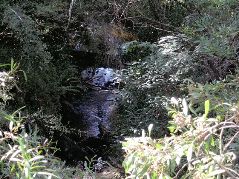 Lot 11 Megalong Road, Megalong NSW 2785