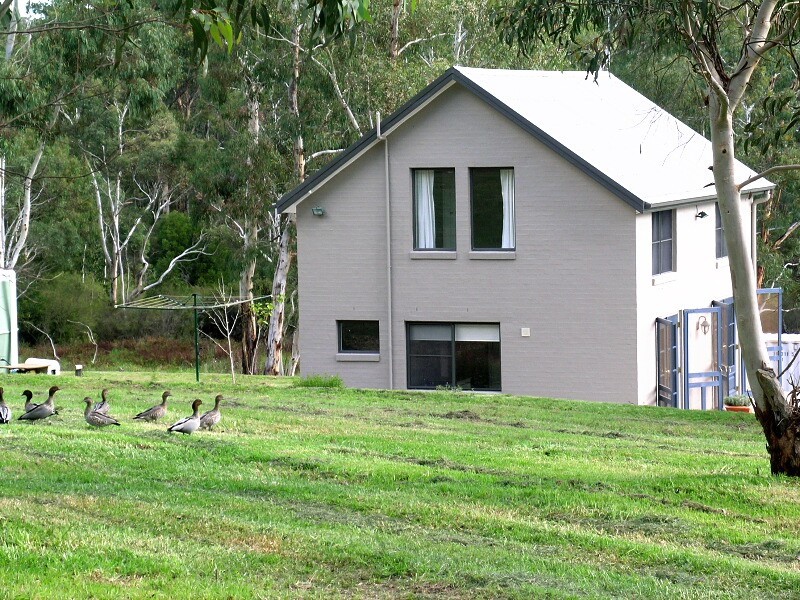 Lot 11 Megalong Road, Megalong NSW 2785