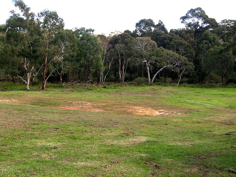 Lot 11 Megalong Road, Megalong NSW 2785