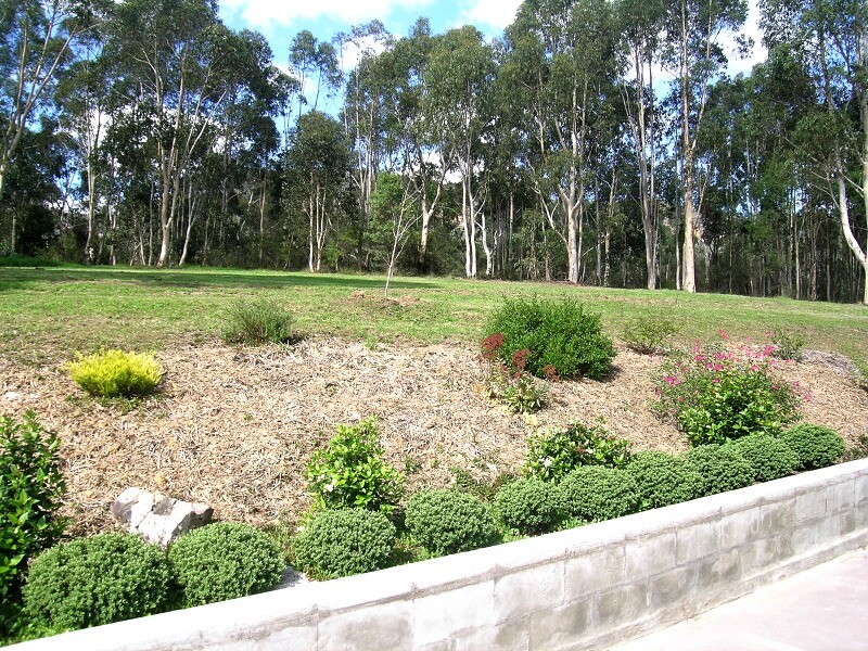 Lot 11 Megalong Road, Megalong NSW 2785